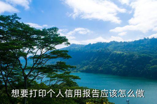 想要打印個(gè)人信用報(bào)告應(yīng)該怎么做