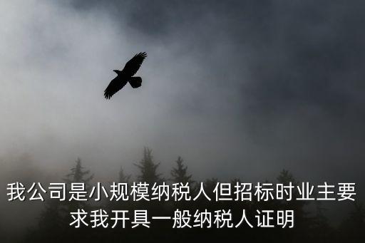 我公司是小規(guī)模納稅人但招標(biāo)時業(yè)主要求我開具一般納稅人證明