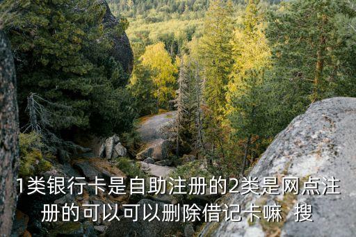 二類卡什么意思，1類銀行卡是自助注冊的2類是網(wǎng)點(diǎn)注冊的可以可以刪除借記卡嘛  搜