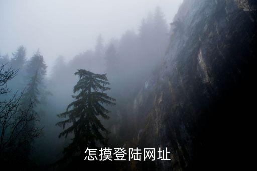 如何登錄暗網(wǎng)，shangshu網(wǎng)該怎樣登陸