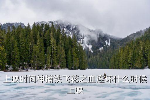 上映時間神捕鐵飛花之血連環(huán)什么時候上映