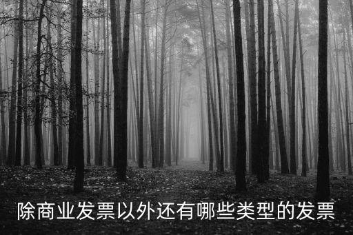 除商業(yè)發(fā)票以外還有哪些類型的發(fā)票