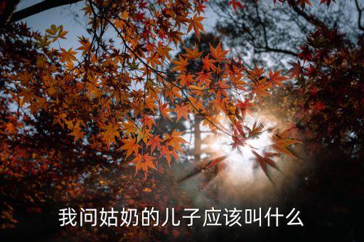 我問姑奶的兒子應(yīng)該叫什么
