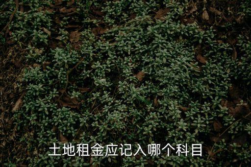 土地租金，土地租金應(yīng)記入哪個(gè)科目