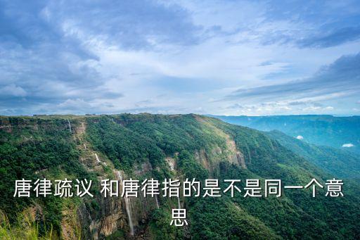 唐律疏議 和唐律指的是不是同一個意思