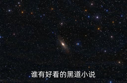 誰(shuí)有好看的黑道小說(shuō)
