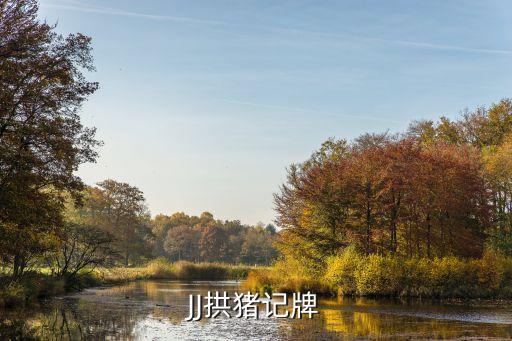 JJ拱豬記牌