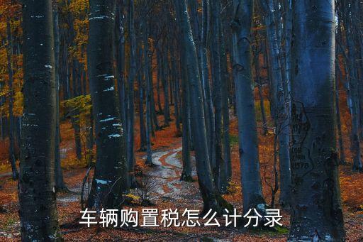 車輛購(gòu)置稅分錄，車輛購(gòu)置稅計(jì)入哪個(gè)科目分錄怎么做