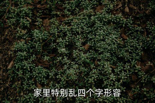 家里特別亂四個(gè)字形容