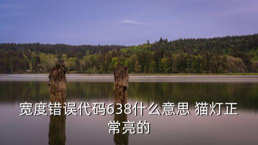 寬度錯誤代碼638什么意思 貓燈正常亮的