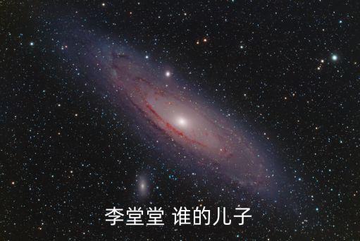 李堂堂 誰(shuí)的兒子
