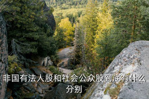 社會公眾股，社會公眾股的介紹