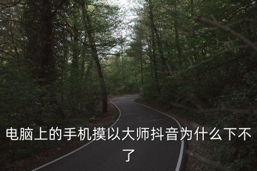 電腦上的手機摸以大師抖音為什么下不了