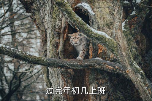 過年初幾上班，正月初幾上班