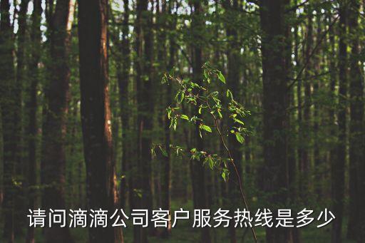 請問滴滴公司客戶服務(wù)熱線是多少