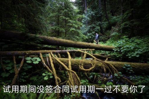 試用期間沒簽合同試用期一過不要你了