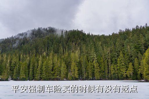 平安強(qiáng)制車險(xiǎn)買的時(shí)候有沒(méi)有返點(diǎn)