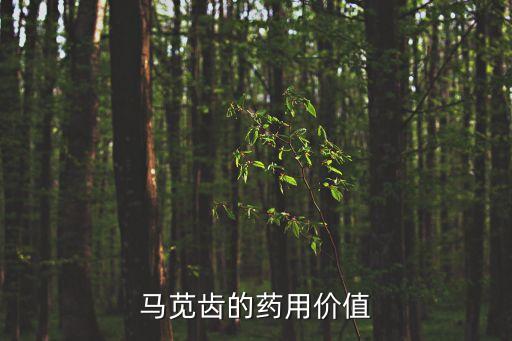 馬莧齒的藥用價值