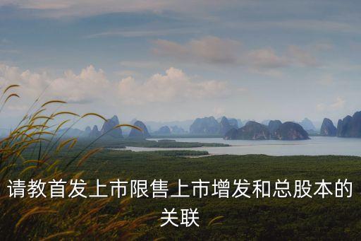 首發(fā)上市，首發(fā)上市路演什么意思