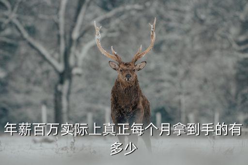 年薪百萬稅后到手多少，100萬年薪相當于的多少錢一個月