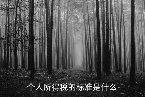 個(gè)人所得稅的標(biāo)準(zhǔn)是什么
