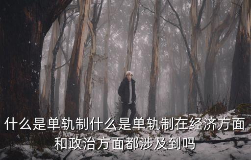 什么是單軌制什么是單軌制在經(jīng)濟(jì)方面和政治方面都涉及到嗎