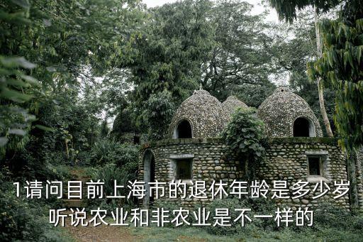 1請(qǐng)問(wèn)目前上海市的退休年齡是多少歲聽(tīng)說(shuō)農(nóng)業(yè)和非農(nóng)業(yè)是不一樣的