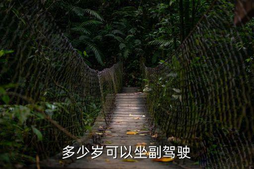 多少歲可以坐副駕駛
