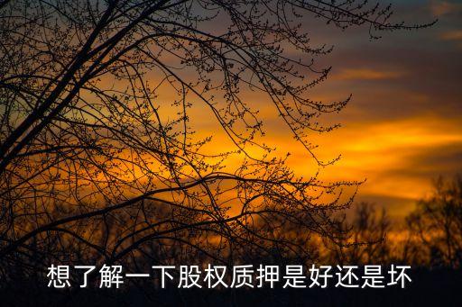 股權(quán)質(zhì)押是好是壞，股權(quán)質(zhì)押是好還是壞