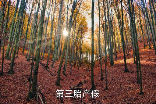 三胎產(chǎn)假，第三胎產(chǎn)假