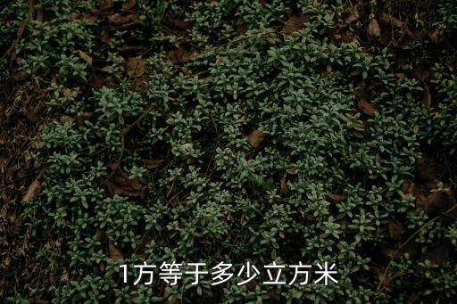 方等，1方等于多少立方米