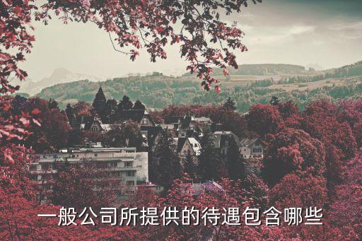 公司福利，企業(yè)社會福利