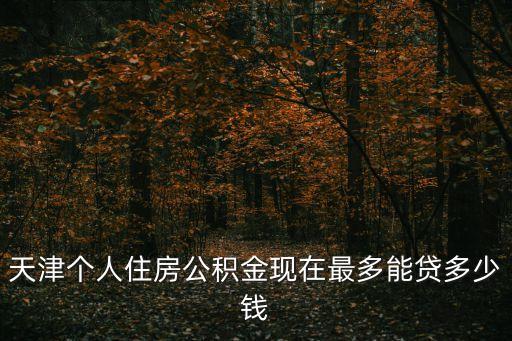 天津公積金貸款額度，天津個(gè)人住房公積金現(xiàn)在最多能貸多少錢