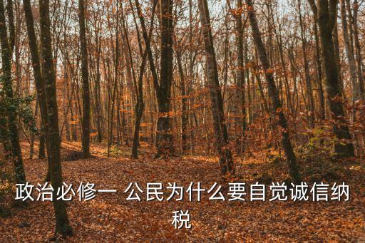 政治必修一 公民為什么要自覺(jué)誠(chéng)信納稅
