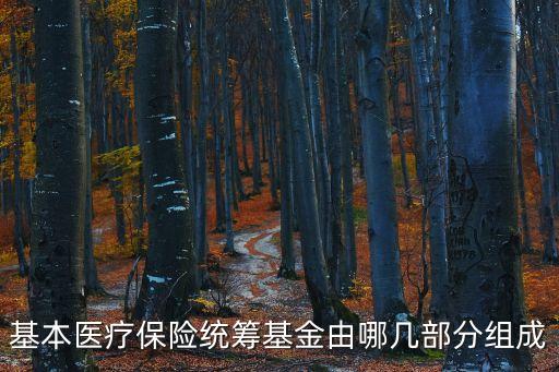 基本醫(yī)療保險(xiǎn)統(tǒng)籌基金由哪幾部分組成