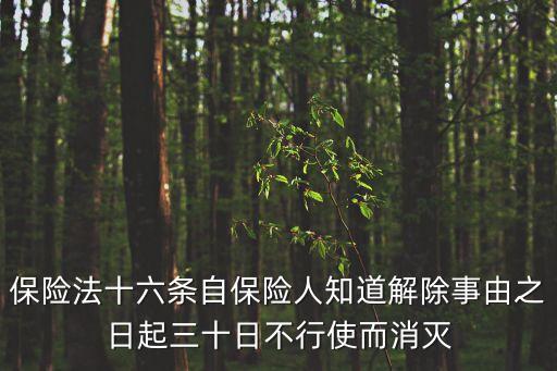 保險(xiǎn)法十六條自保險(xiǎn)人知道解除事由之日起三十日不行使而消滅
