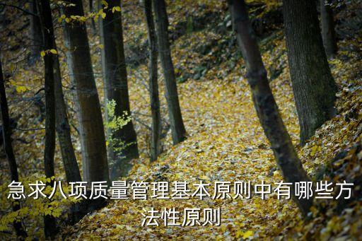 急求八項質(zhì)量管理基本原則中有哪些方法性原則