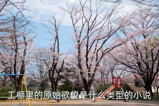 工棚里的原始欲望是什么類型的小說