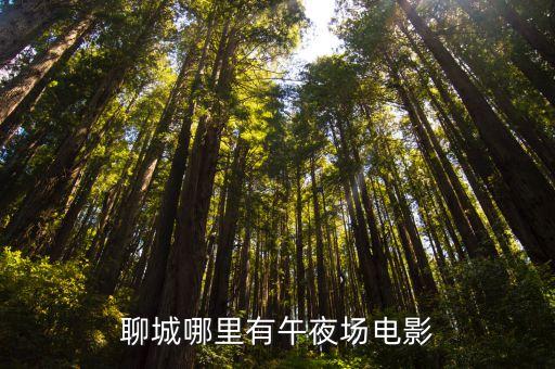 聊城哪里有午夜場電影