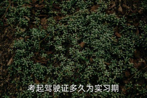 實(shí)習(xí)期幾個(gè)月，考起駕駛證多久為實(shí)習(xí)期