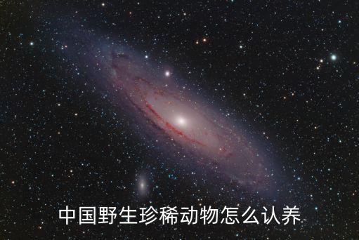 中國野生珍稀動物怎么認養(yǎng)