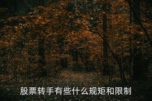 股票轉(zhuǎn)手有些什么規(guī)矩和限制