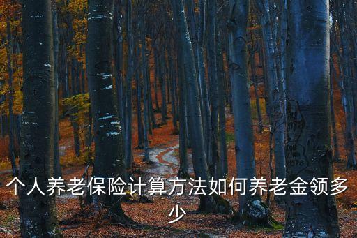 個人養(yǎng)老金計算，個人養(yǎng)老保險金如何計算