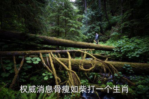 權(quán)威消息，有誰能提供點(diǎn)財(cái)經(jīng)方面權(quán)威的消息或消息來源包括哪些網(wǎng)絡(luò)電視頻道等