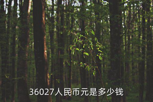 36027人民幣元是多少錢