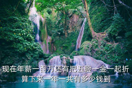 現(xiàn)在年薪一百萬還有把五險一金一起折算下來一年一共有多少錢到