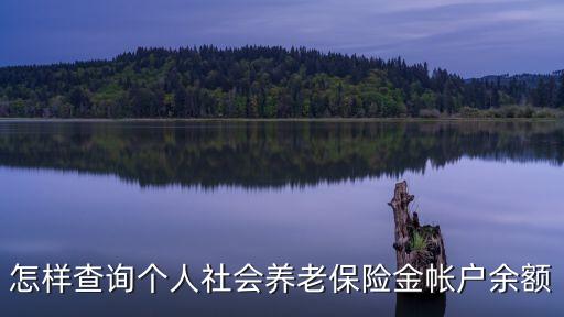 怎樣查詢個(gè)人社會(huì)養(yǎng)老保險(xiǎn)金帳戶余額