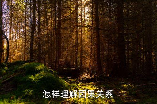 怎樣理解因果關(guān)系