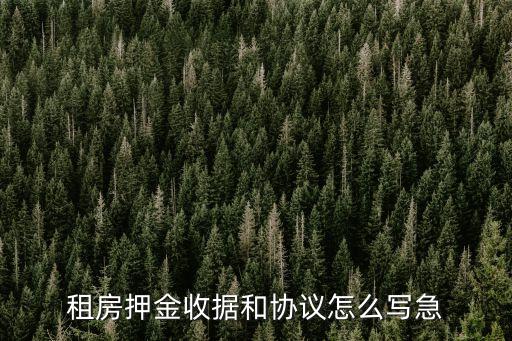 租房押金收據(jù)和協(xié)議怎么寫急