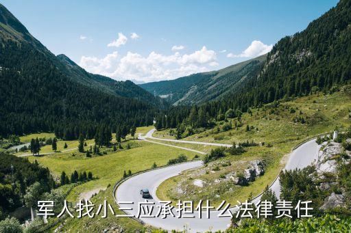 軍人找小三應承擔什么法律責任
